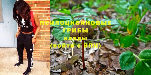 прущие крисы Ладушкин