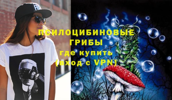 хмурый Козельск