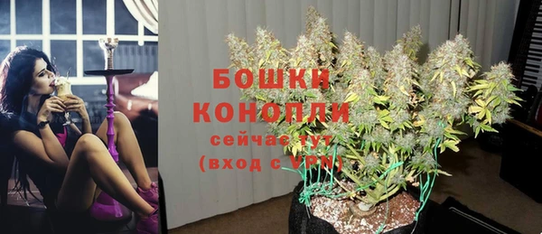 mdpv Кодинск
