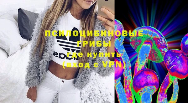 Альфа ПВП Лабытнанги
