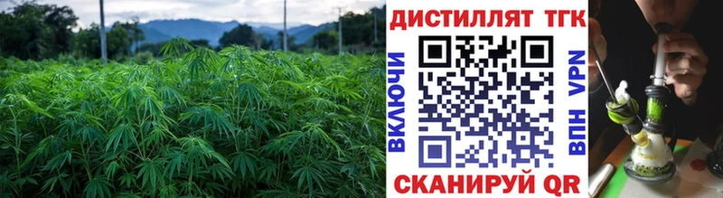 Купить где  Заволжье  ТГК гашишное масло 