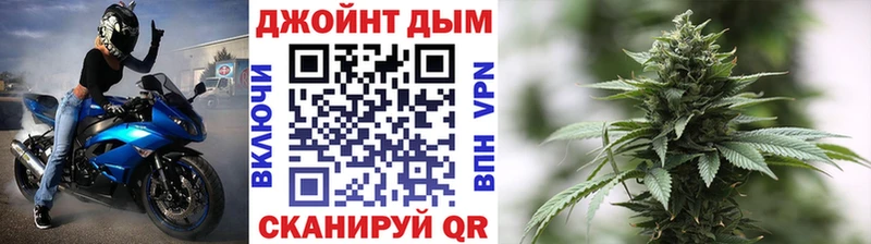 Конопля сатива  Купить  Заволжье 